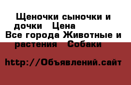 Щеночки-сыночки и дочки › Цена ­ 30 000 - Все города Животные и растения » Собаки   